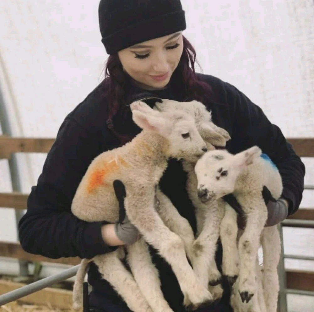 GIF uploaded by Zoe
