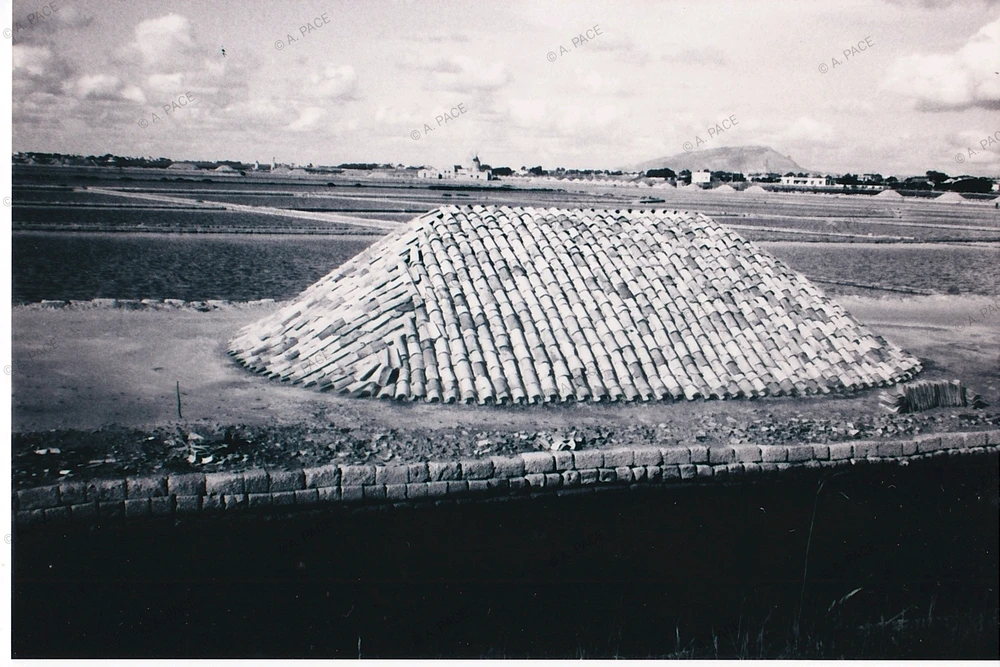 Immagine caricata da Alessandro | alpacigno