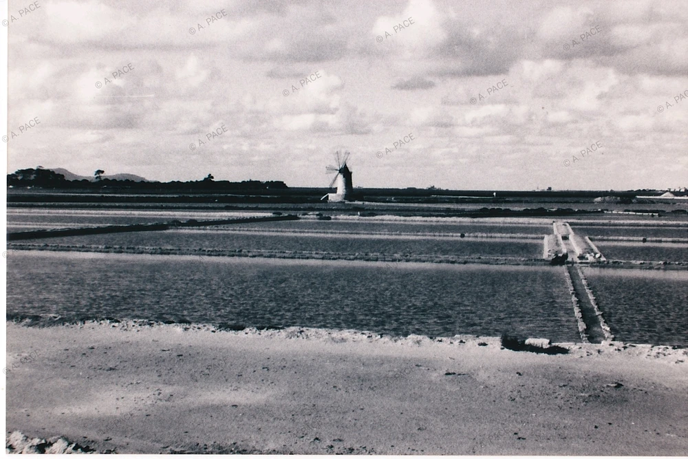 Immagine caricata da Alessandro | alpacigno