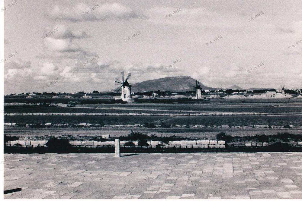 Immagine caricata da Alessandro | alpacigno