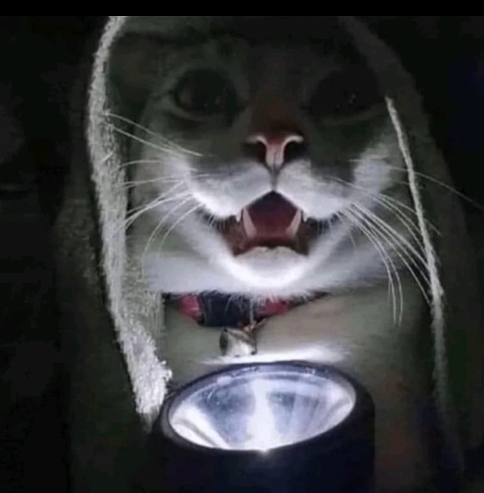 GIF caricata da Anndriya