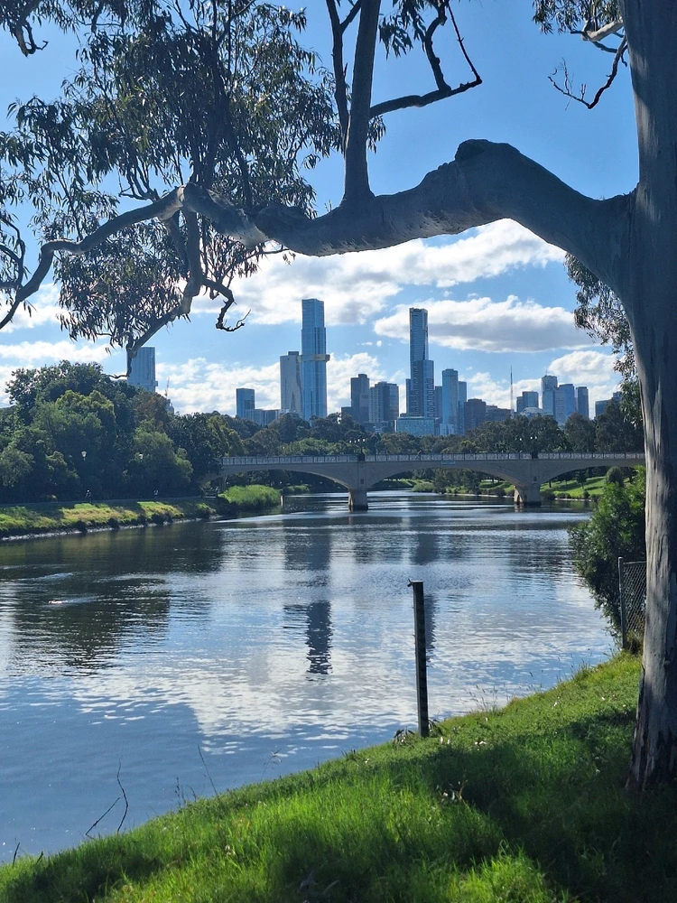 GIF caricata da Claudio