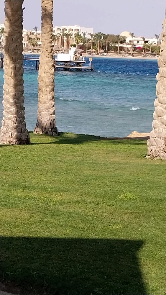 GIF رفعها احمد محمد