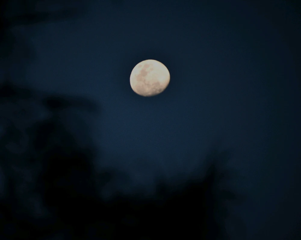 Imagen subida por Diego Vels