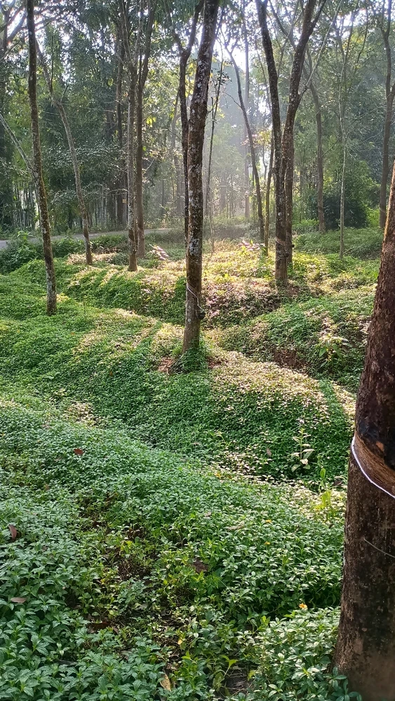 GIF uploaded by Akif