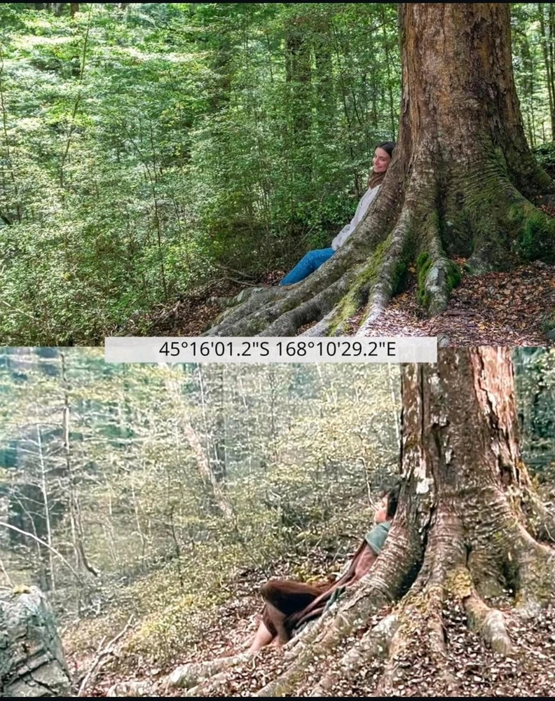 Immagine caricata da Nanaki