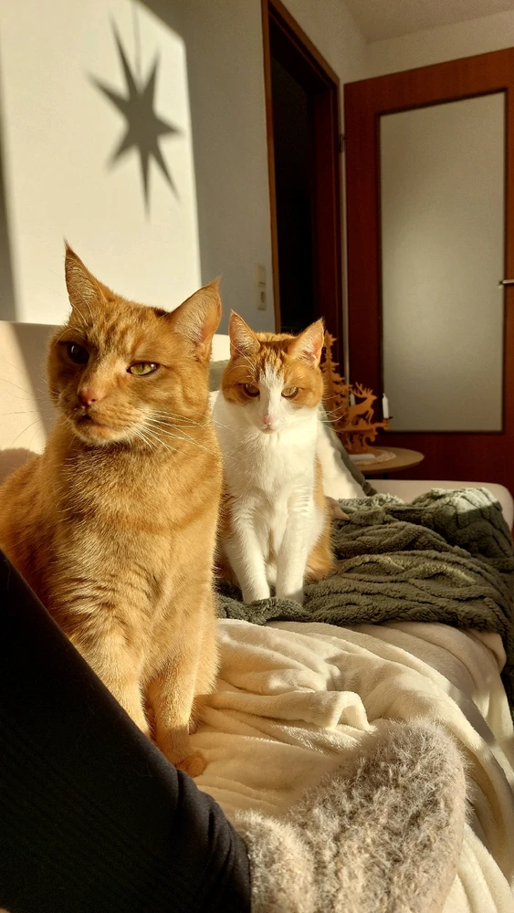 GIF hochgeladen von Maria