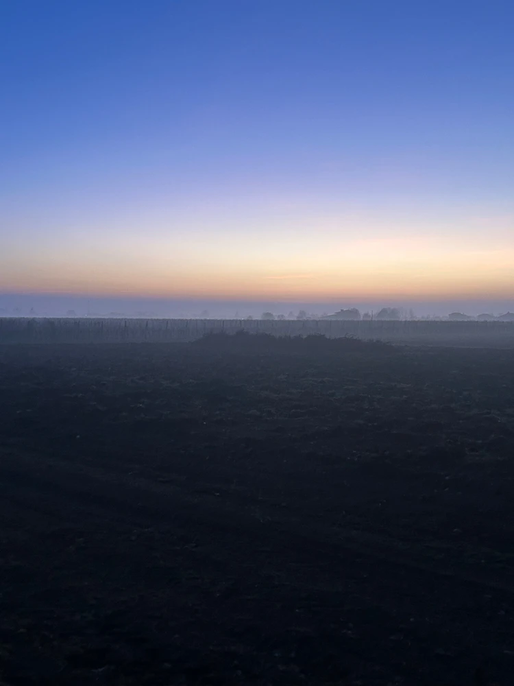 GIF caricata da Fabio