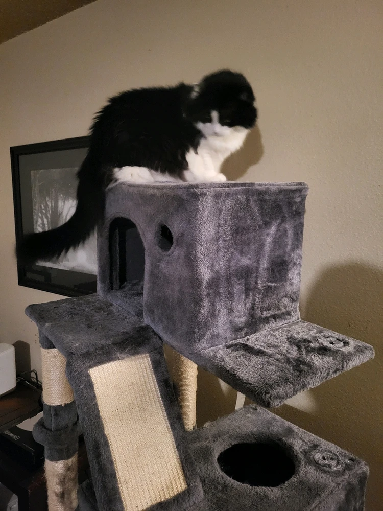 Image uploaded by Dylan