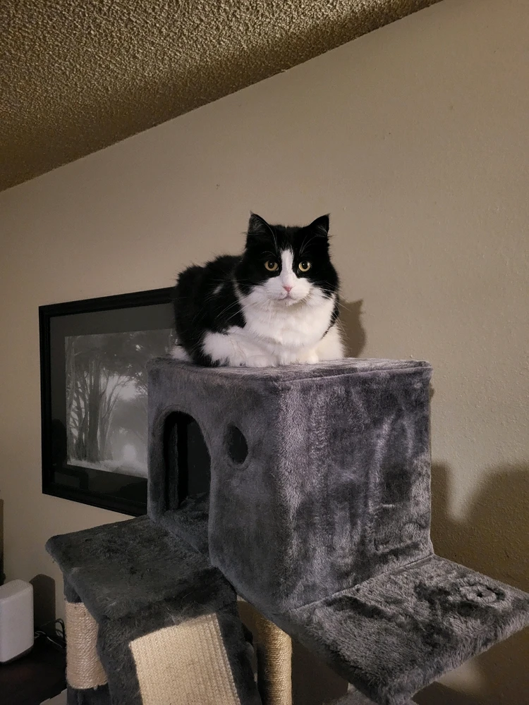 Image uploaded by Dylan