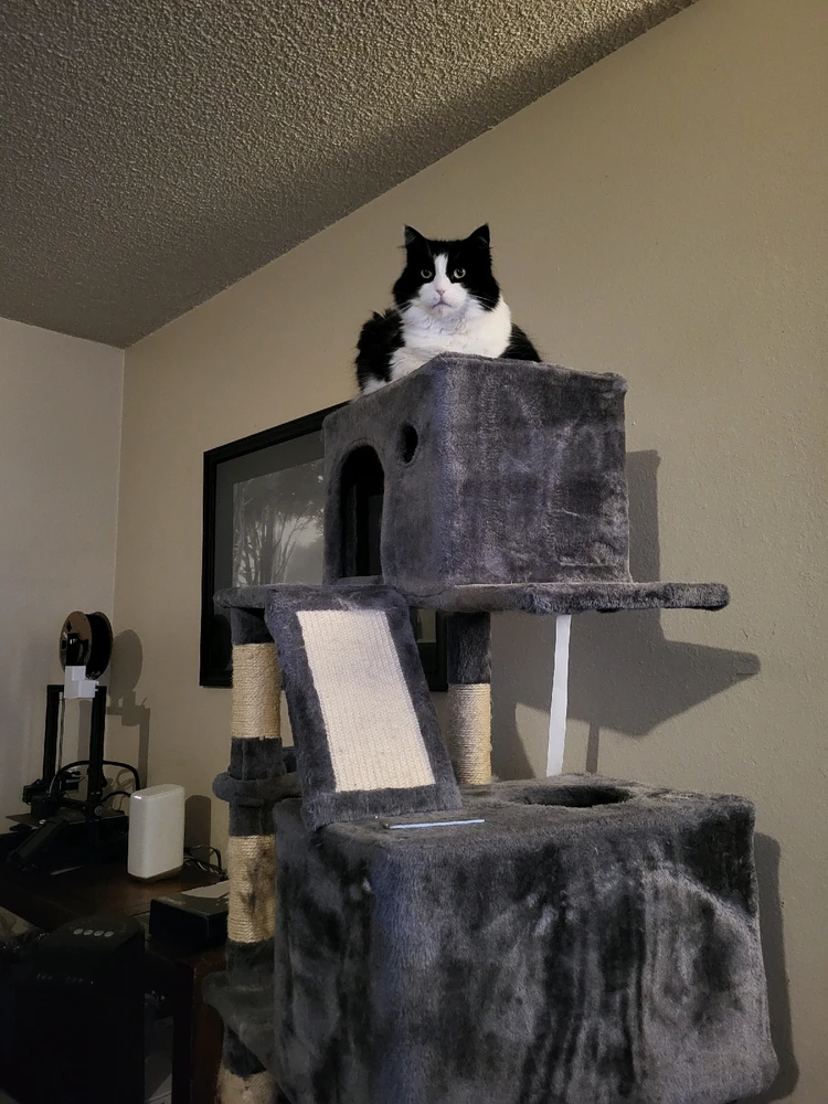 Image uploaded by Dylan