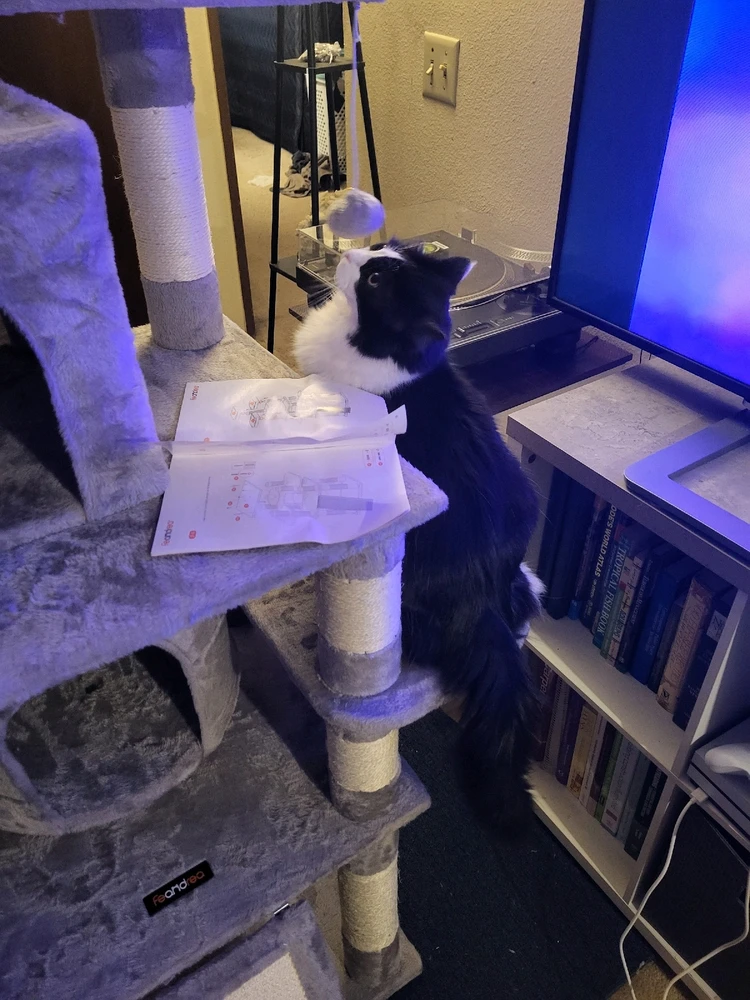 Image uploaded by Dylan