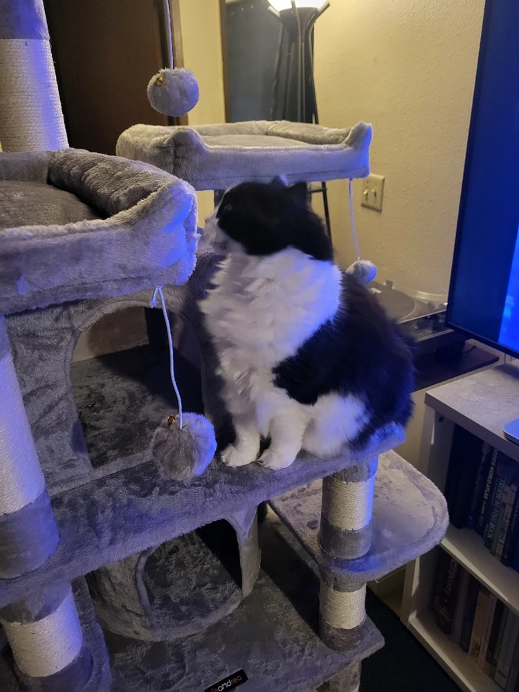 Image uploaded by Dylan