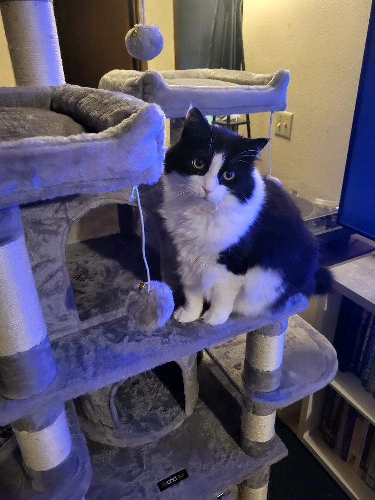 Image uploaded by Dylan