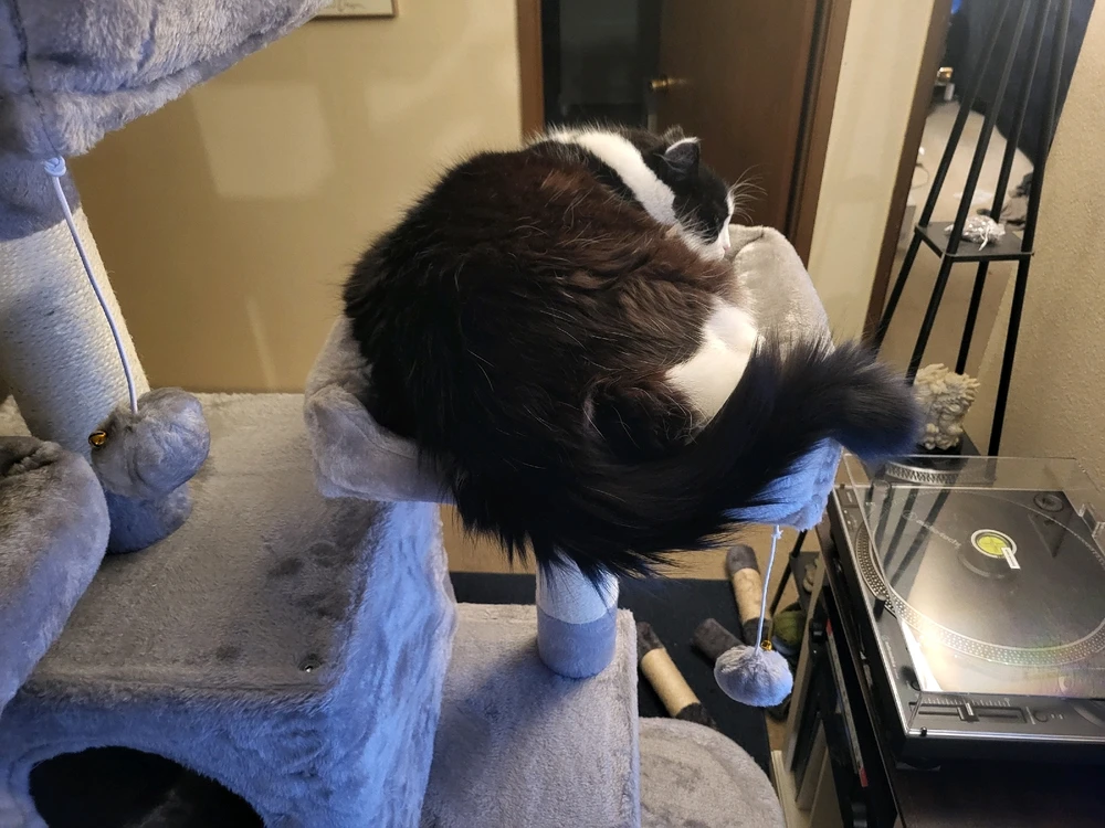 Image uploaded by Dylan