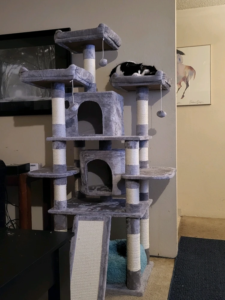 Image uploaded by Dylan