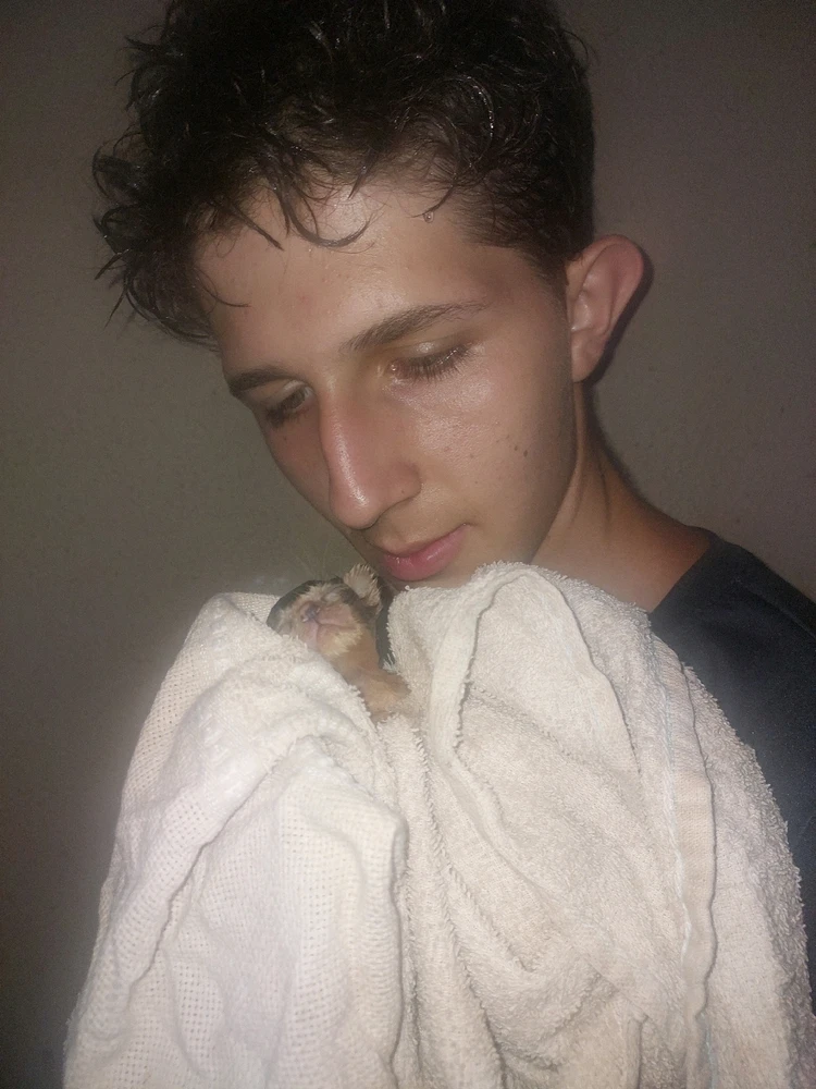 Imagem enviada por Micael...🫡