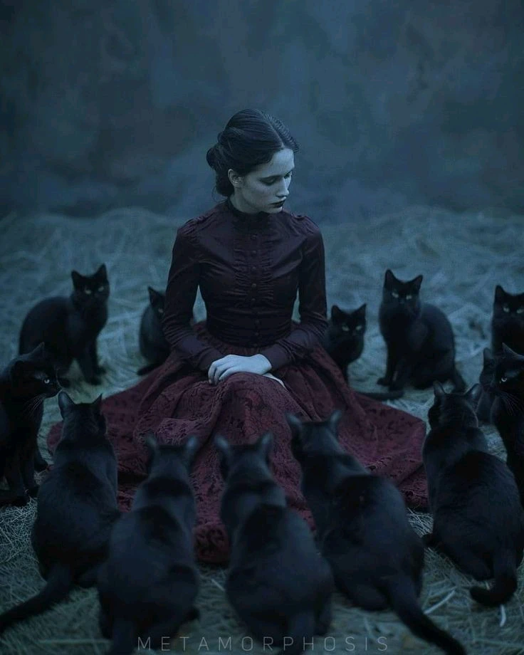 GIF uploaded by Meriç