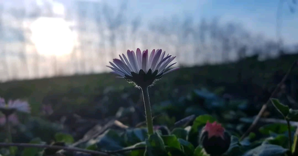 Dávid által feltöltött GIF