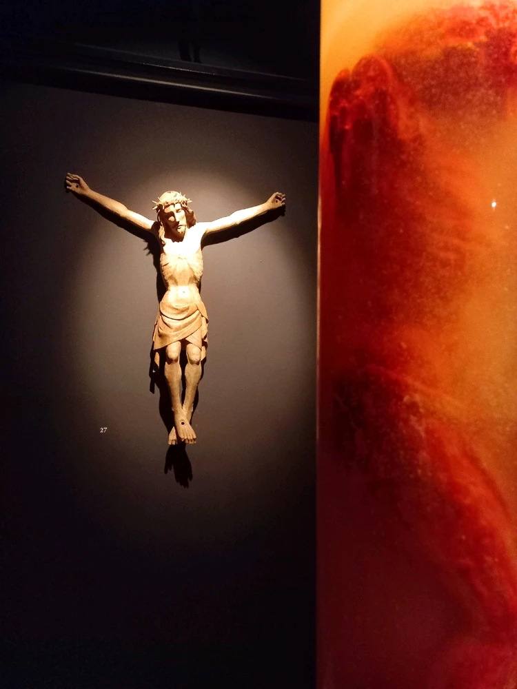 Fotku nahral/-a Michaela