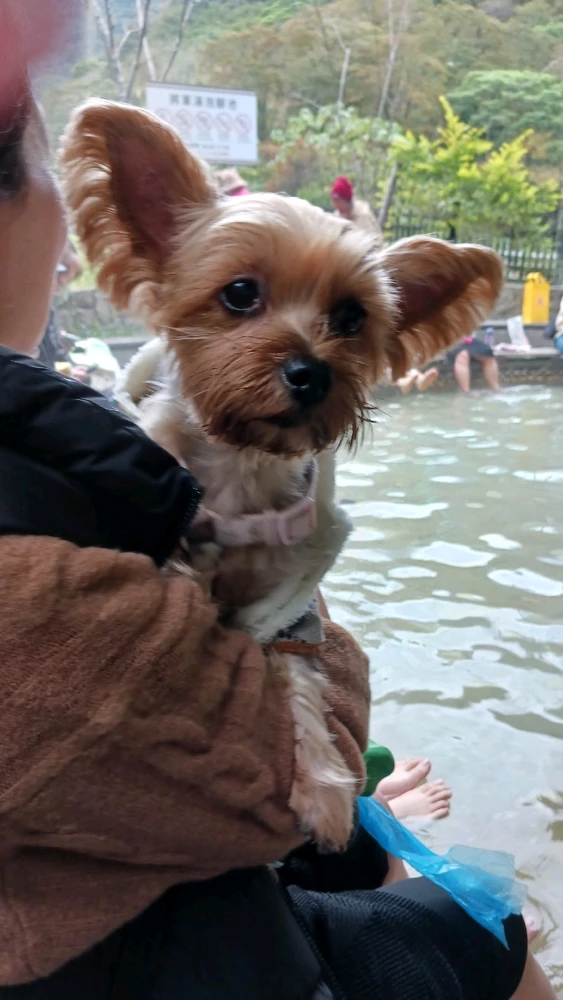 Image uploaded by Fen