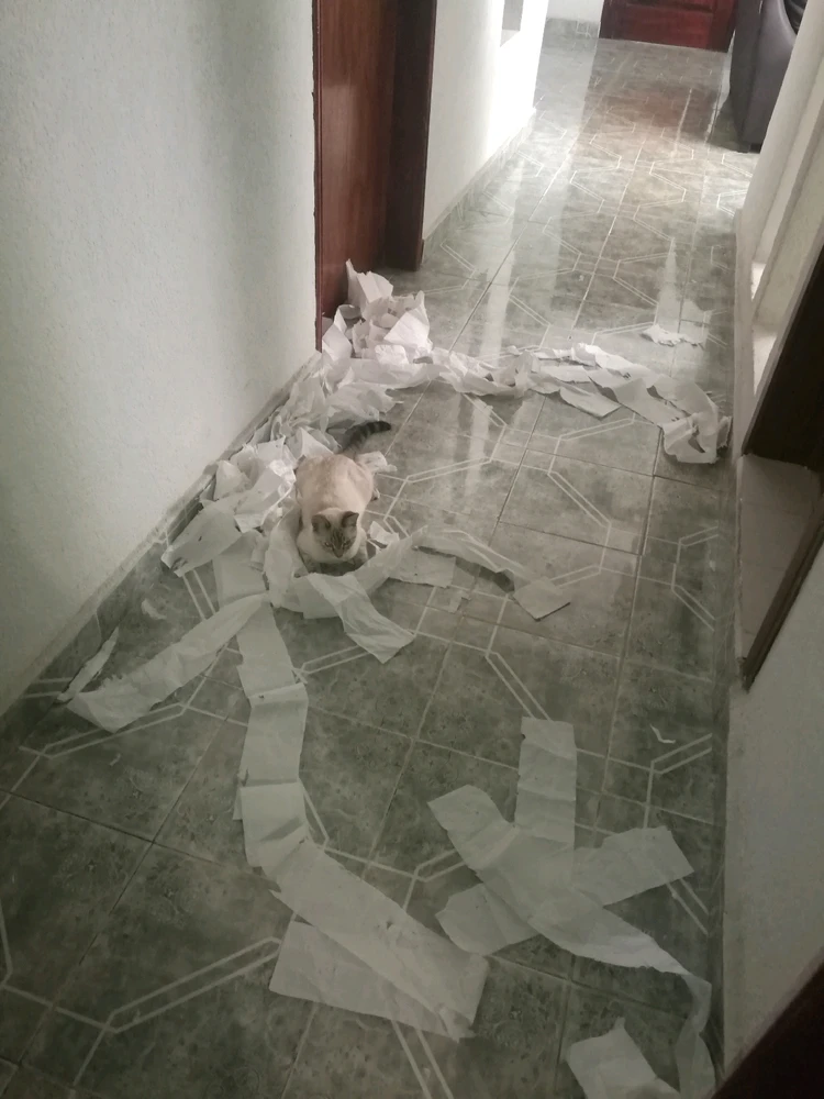 Image uploaded by ❤ Sophia aka Mango Mami ❤️