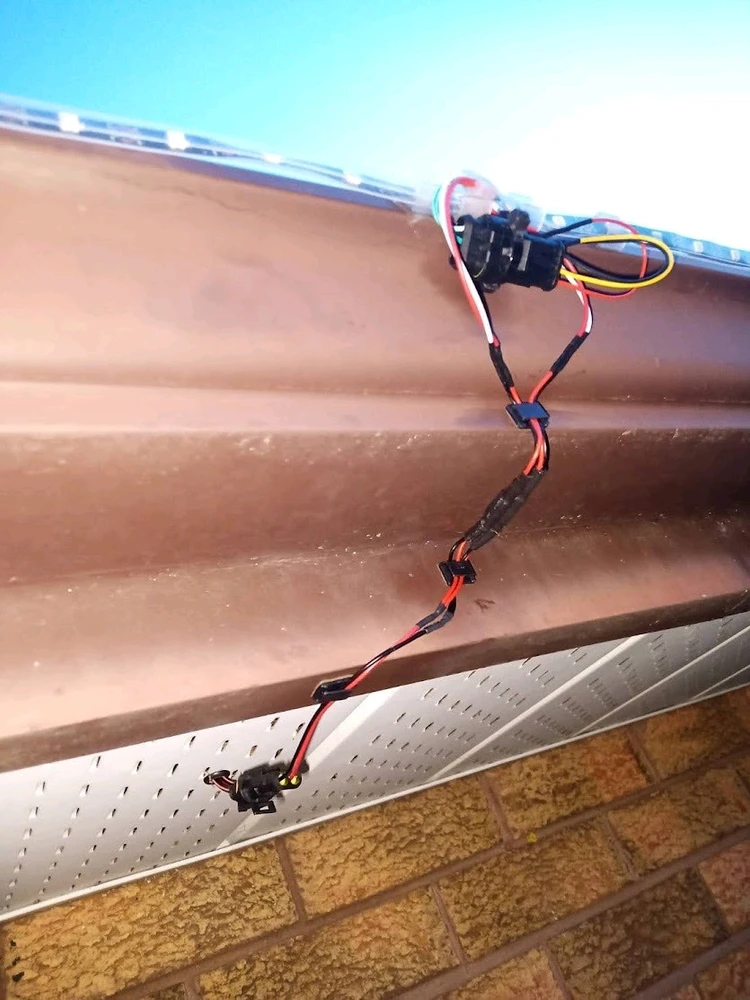 Image uploaded by Chris