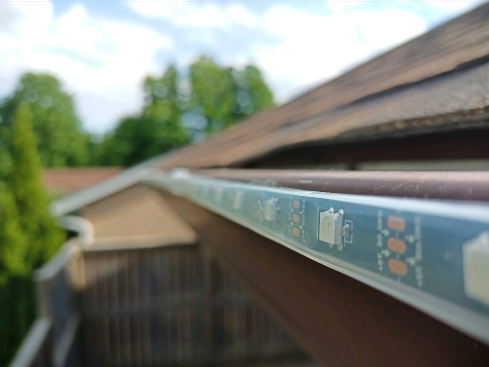 Image uploaded by Chris