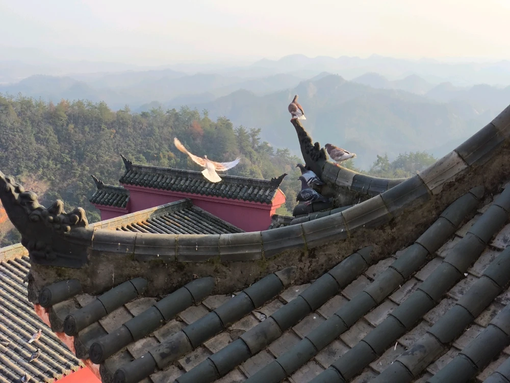 Gambar diunggah dening Annya