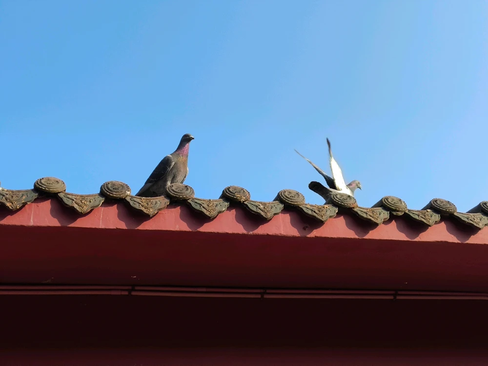 Gambar diunggah dening Annya