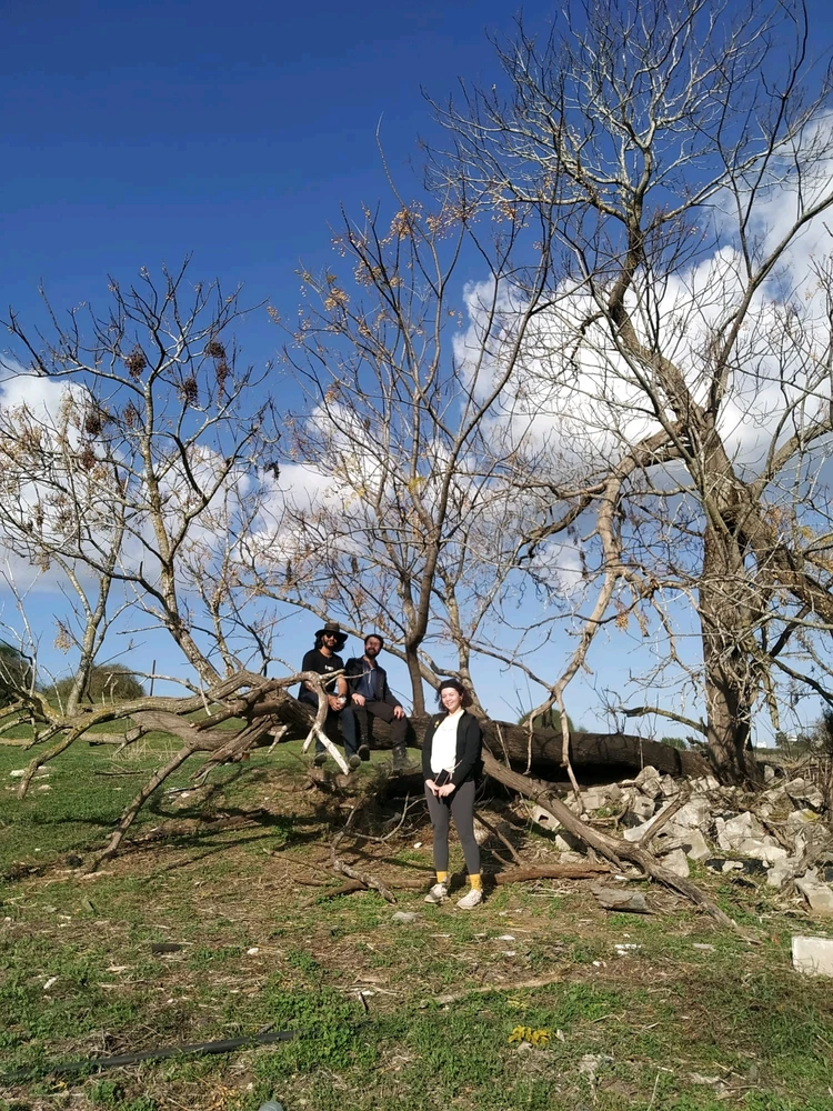 תמונה שהועלתה על ידי Dar