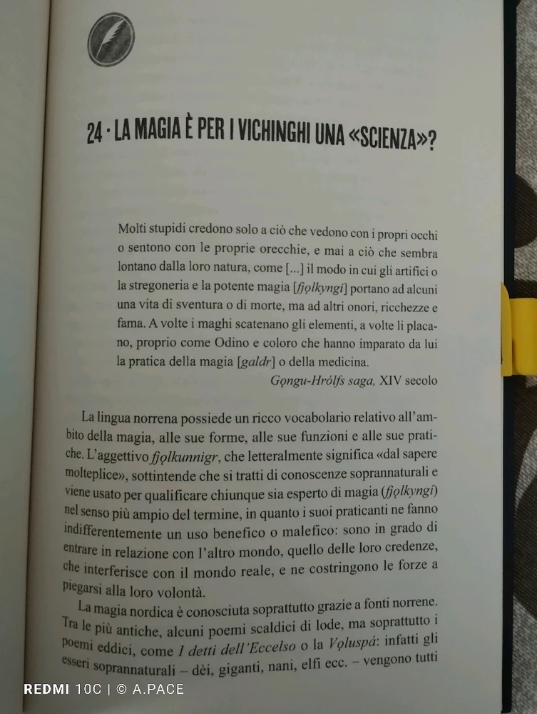 Immagine caricata da Alessandro | alpacigno