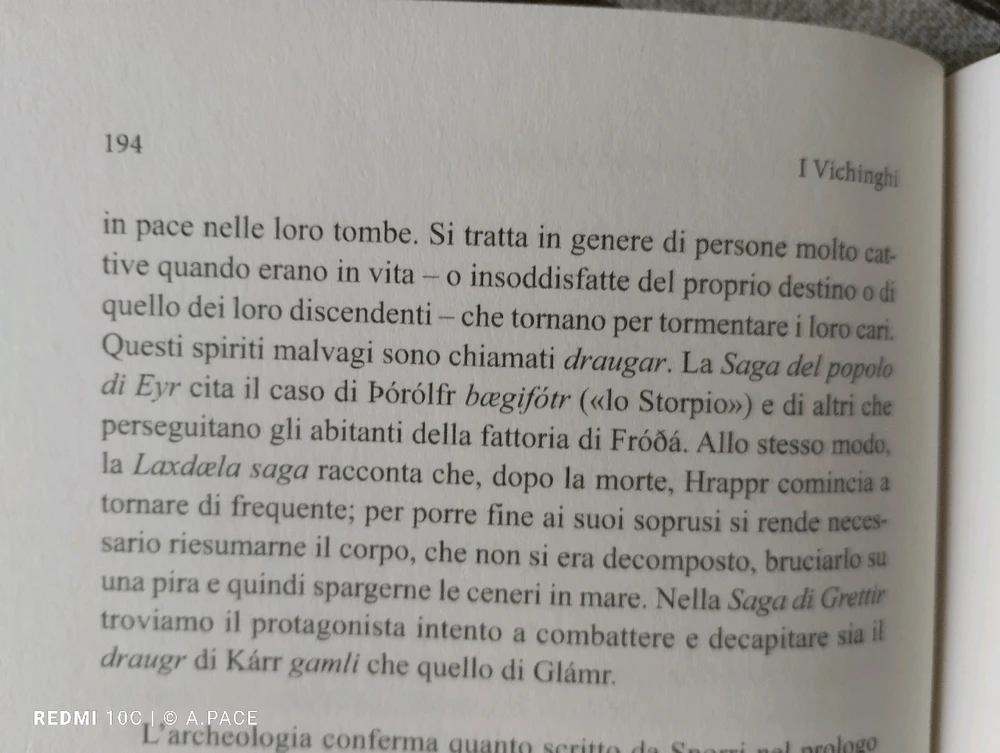 Immagine caricata da Alessandro | alpacigno