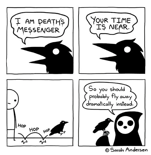 Ahh yes, the harbinger of death 😂🐦‍⬛
