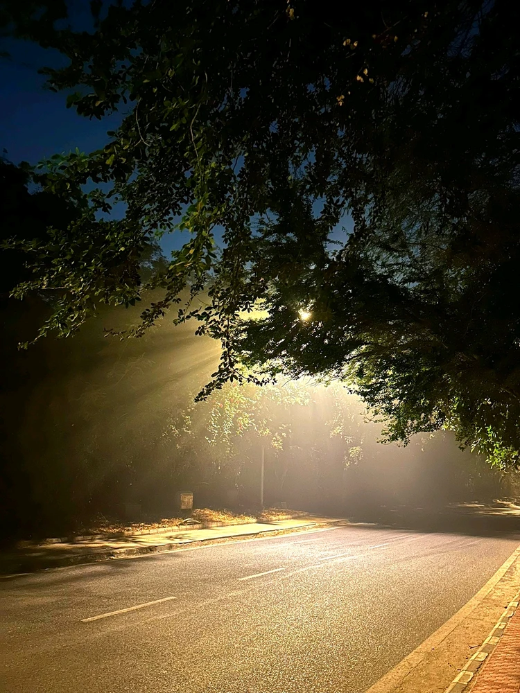 Image uploaded by Dhruv