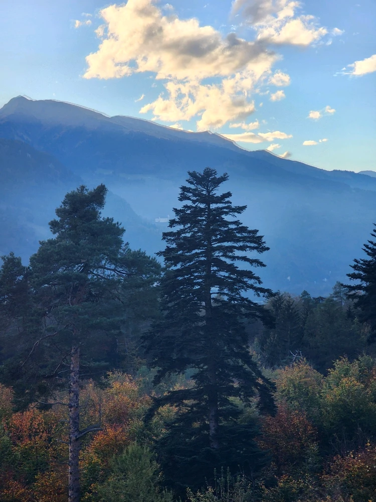 Image uploaded by Sean