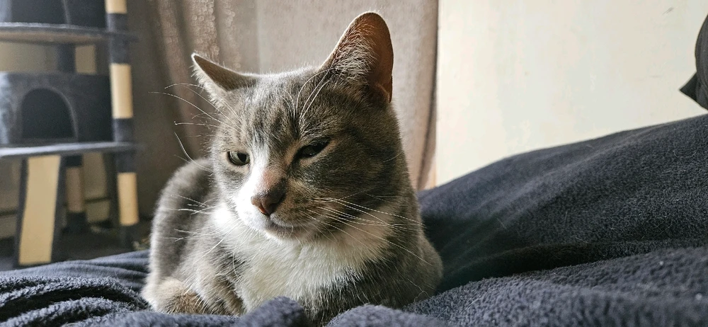 GIF uploaded by Jaxx