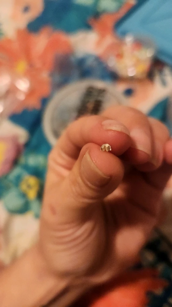 由Vicky上传的图片