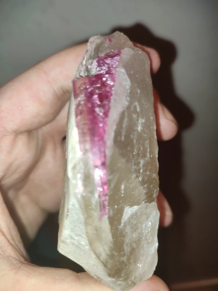 GIF uploaded by Katlyne