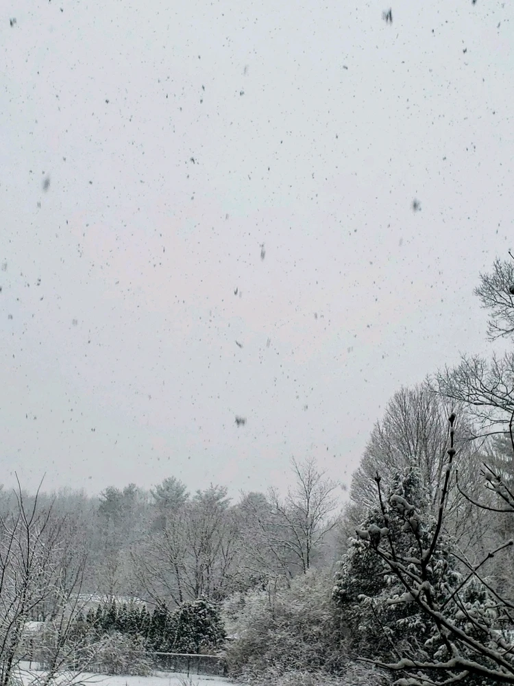 Image uploaded by Q_EJ