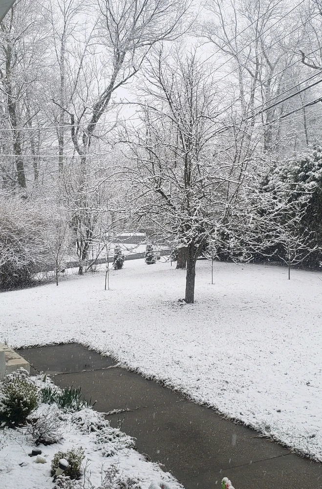 Image uploaded by Q_EJ