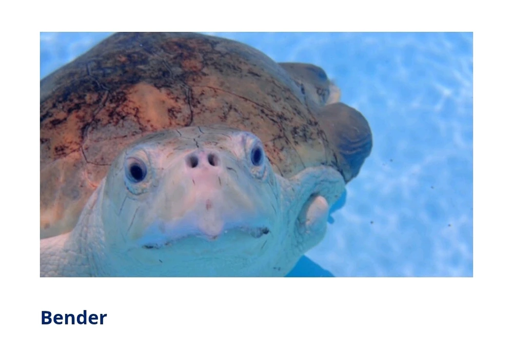 Image uploaded by Gabi