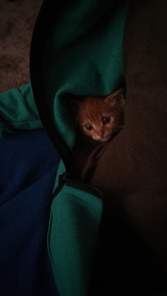 Kadir tarafından yüklenen GIF