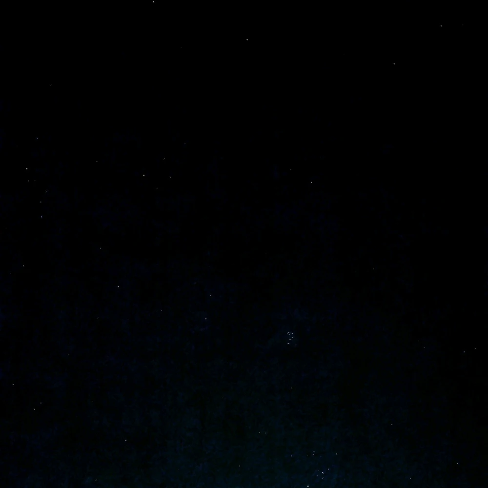 Image uploaded by Hollington