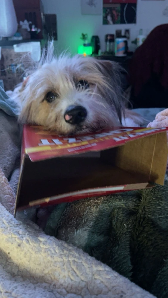 Always be eaten all my food