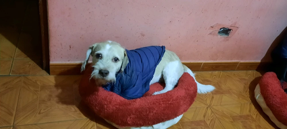Imagen subida por Diego