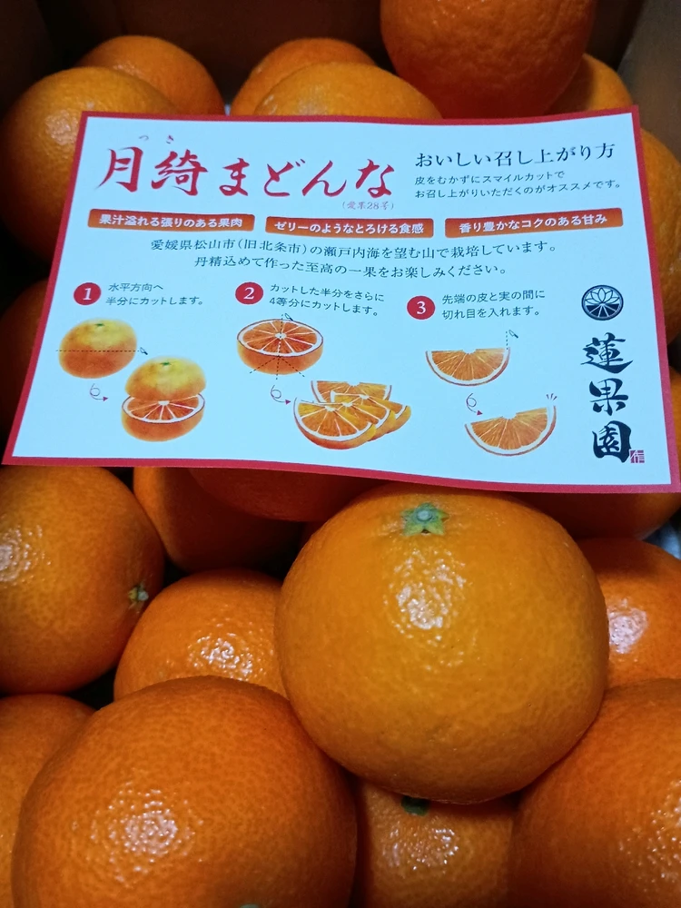 ヒポがアップロードしたGIF