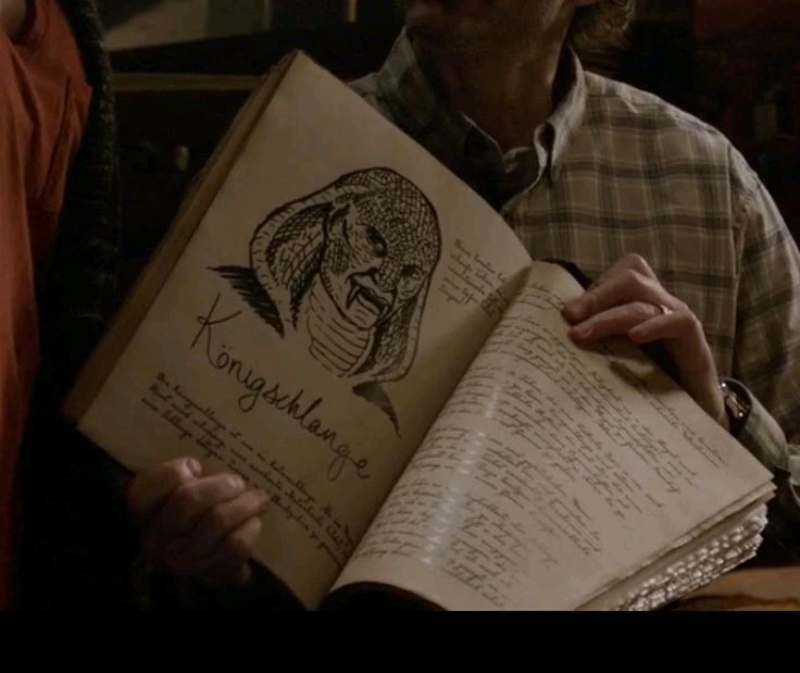 Можно спорить долго про спецэффекты в сериале Гримм, но сходиться в одном: этот сериал хорош, не смотря на жуткие маски монстров для нашего времени