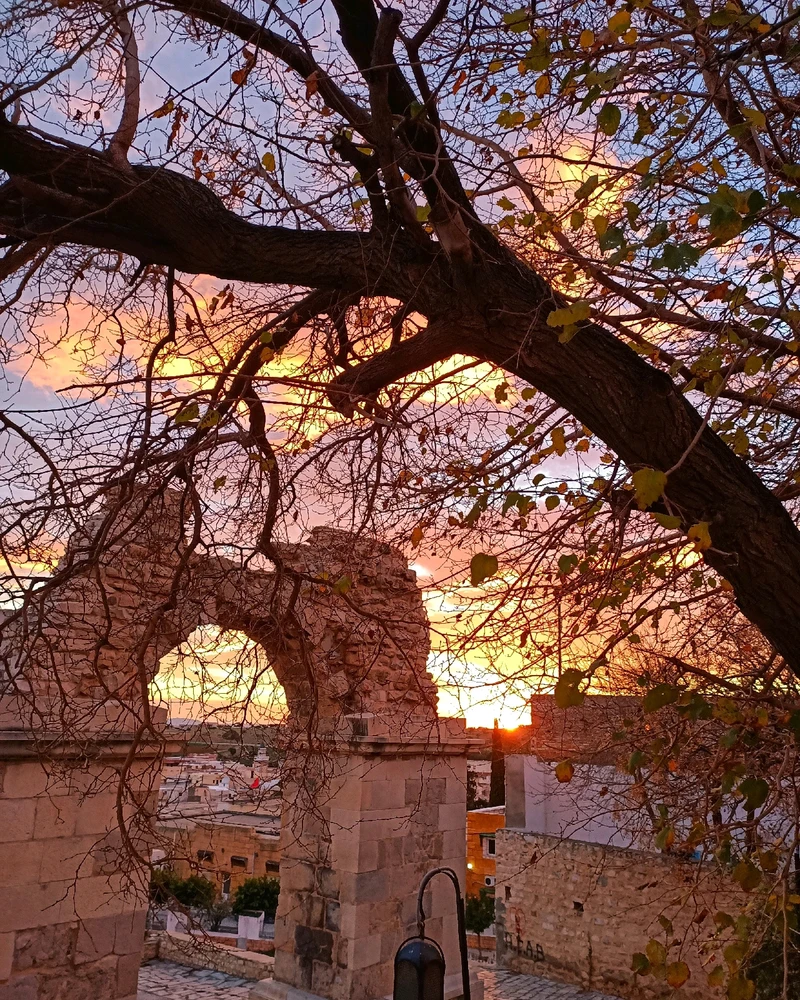 GIF uploaded by Souha