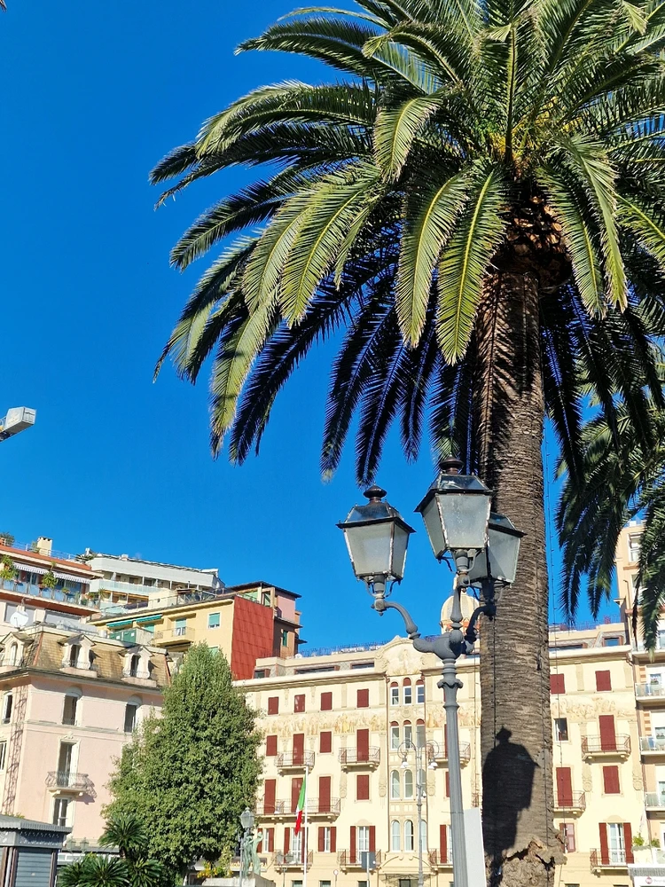 Nuotrauką įkėlė Ieva